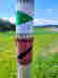 Bierwanderungl_25_28